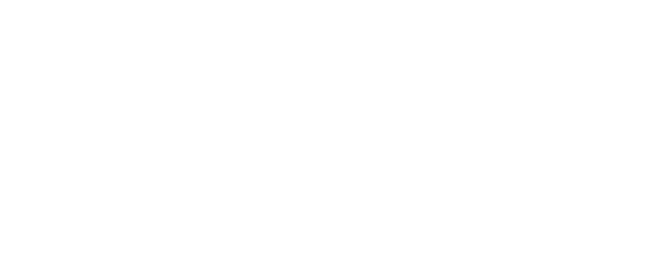 Digital Cache